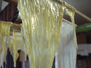 150年前の栗原の食復活 ゆば